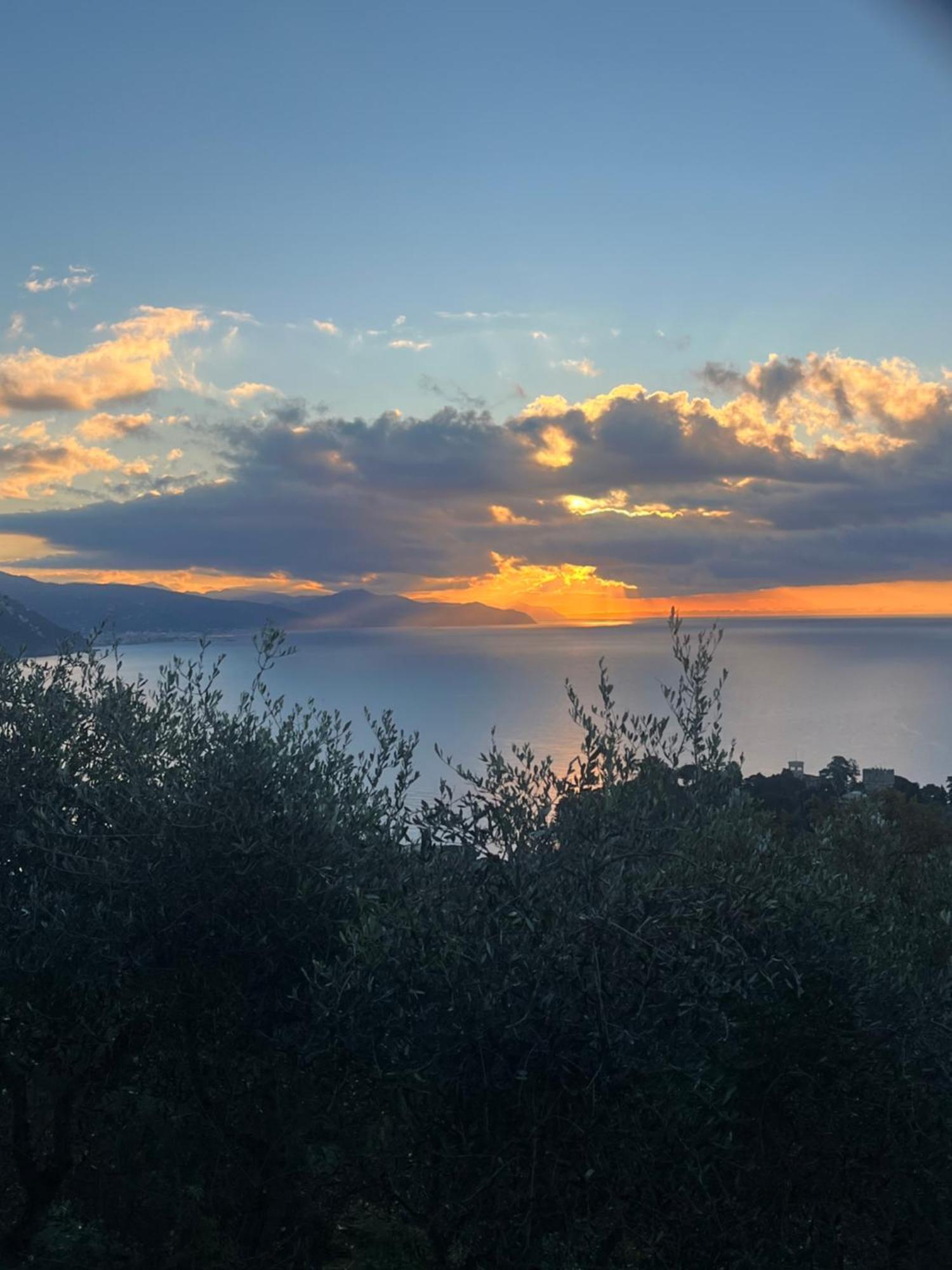 La Conchiglia Bed & Breakfast Camogli Luaran gambar