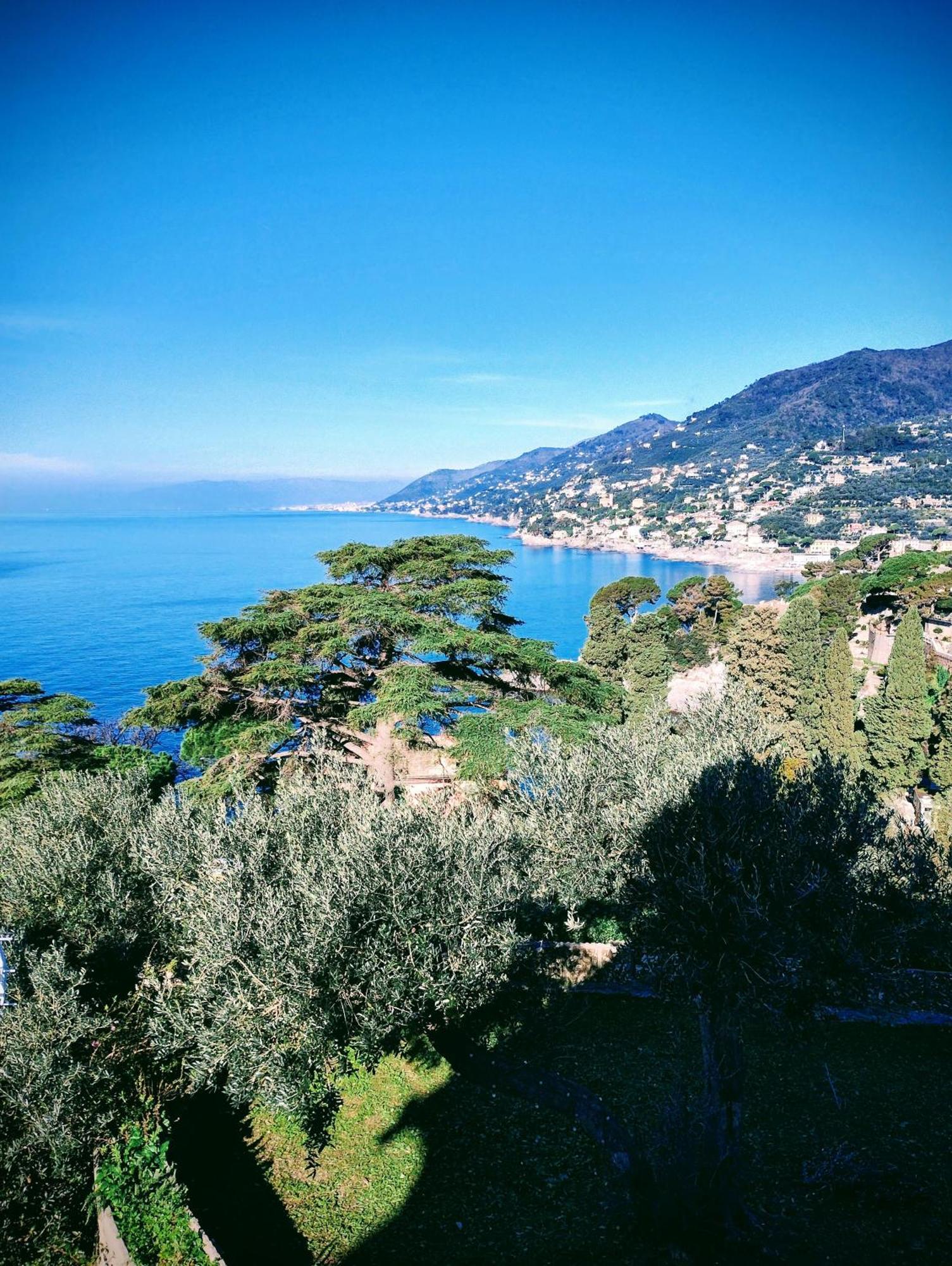 La Conchiglia Bed & Breakfast Camogli Luaran gambar