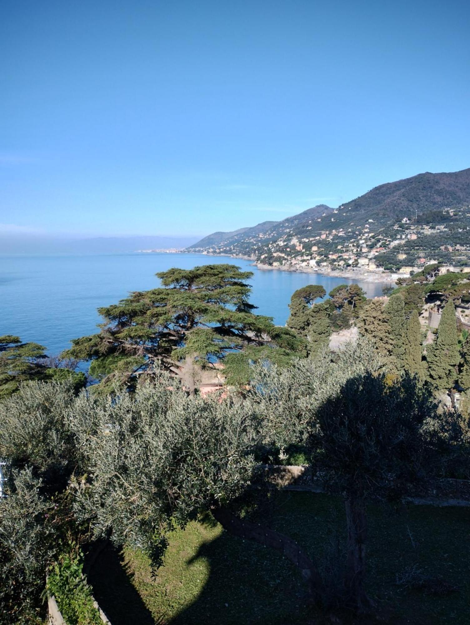 La Conchiglia Bed & Breakfast Camogli Luaran gambar